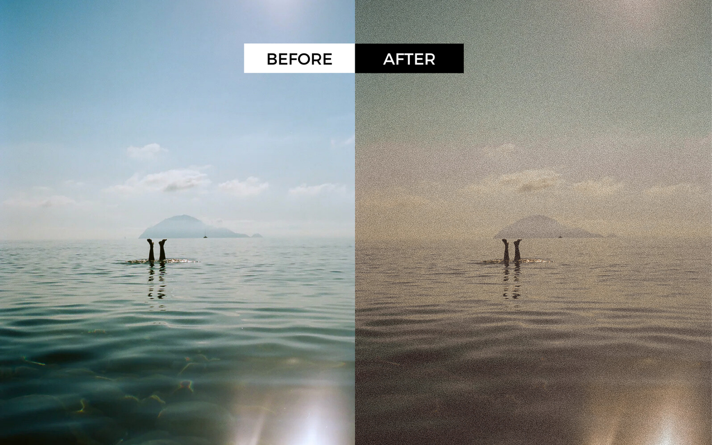 Analog Film Lightroom Presets 