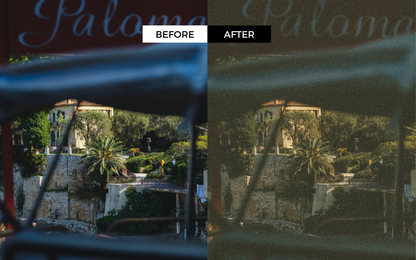Analog Film Lightroom Presets 