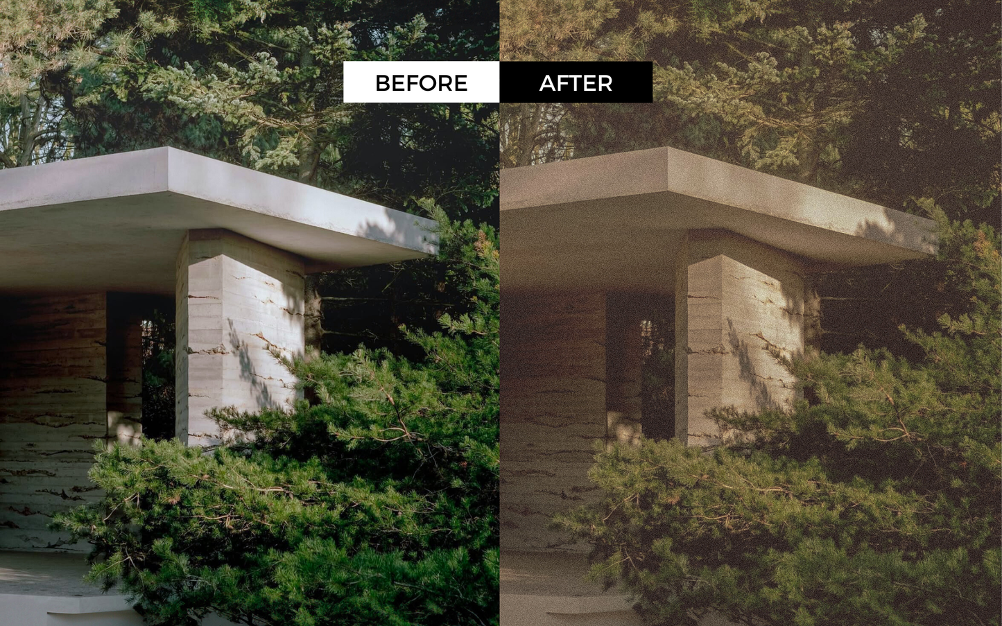 Analog Film Lightroom Presets 