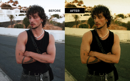 Fuji Film Presets Collection